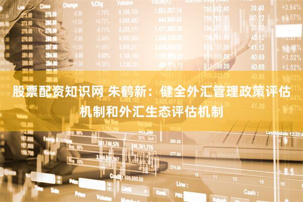 股票配资知识网 朱鹤新：健全外汇管理政策评估机制和外汇生态评估机制