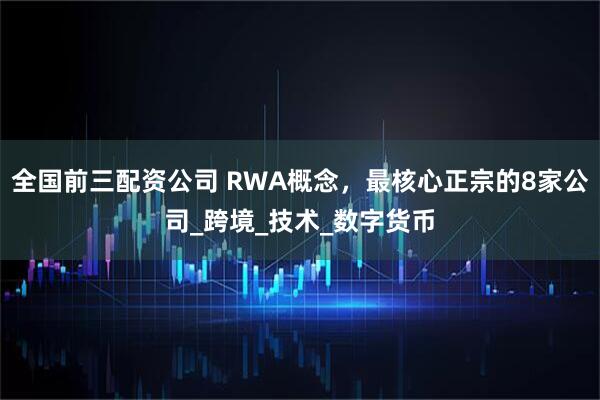 全国前三配资公司 RWA概念，最核心正宗的8家公司_跨境_技术_数字货币