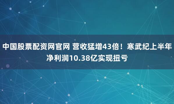 中国股票配资网官网 营收猛增43倍！寒武纪上半年净利润10.38亿实现扭亏