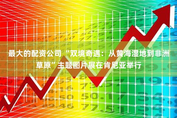 最大的配资公司 “双境奇遇：从黄海湿地到非洲草原”主题图片展在肯尼亚举行